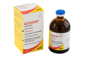 Buy Orudis E Online