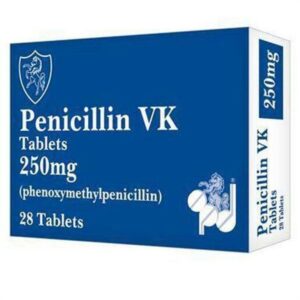 Penicillin VK (Penicillin V Potassium)