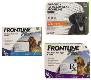 Buy Frontline Plus for Dogs Online