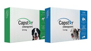 Capstar (Nitenpyram)