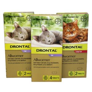 Drontal Cat Allwormer (Praziquantel/Pyrantel)
