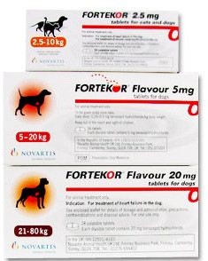 Fortekor for Pets (Benazepril)