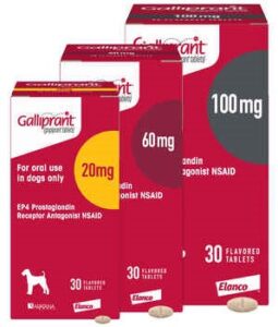 Galliprant (Grapiprant)