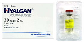 Hyalgan (Sodium Hyaluronate)