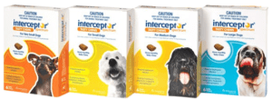 Interceptor Spectrum (Milbemycin oxime / Praziquantel)