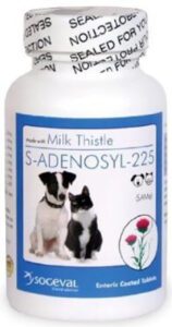S-Adenosyl-225 (S-adenosylmethionine)