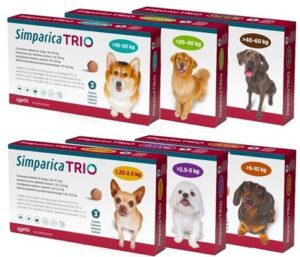 Buy Simparica Trio Online