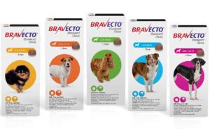 Bravecto Chewable Tablets (Fluralaner)