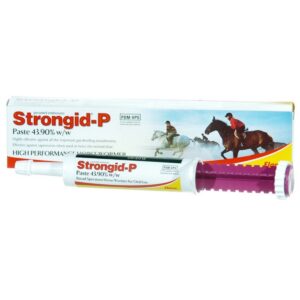 Strongid P Paste (Pyrantel Pamoate)
