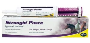 Strongid Paste for Horses (Pyrantel Pamoate)