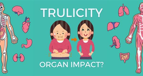 What Organs does Trulicity Affect?