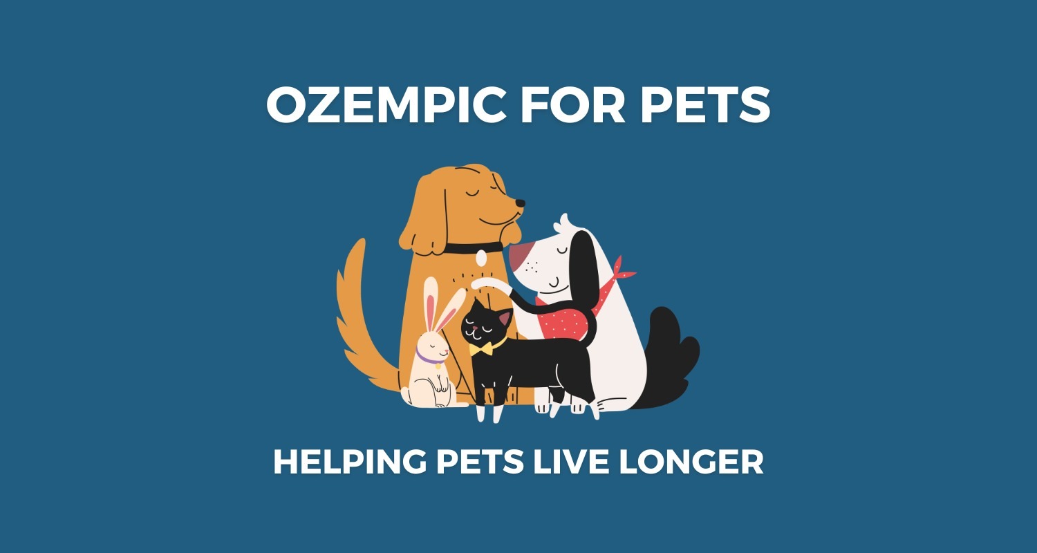 Ozempic for Pets: Can It Help Pets Live Longer?